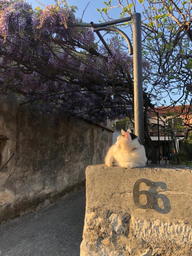 App Milija Daire Rovinj Dış mekan fotoğraf
